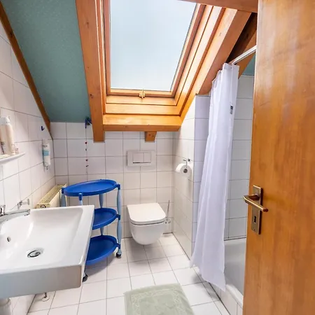 Exklusives Josenhaus Mit See- Und Alpenblick & Gartensauna 別荘 ノネンホルン